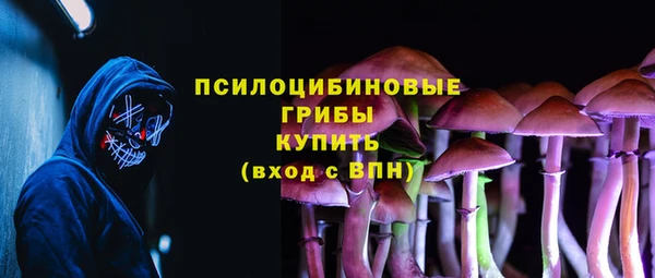 стаф Каменск-Шахтинский