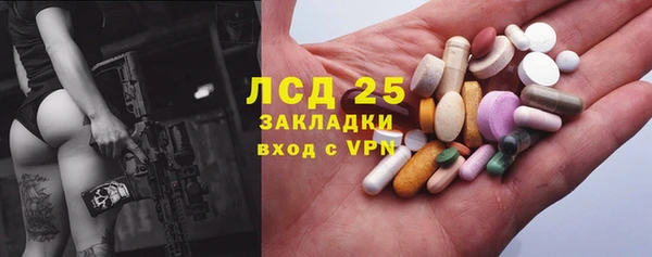 стафф Каменка