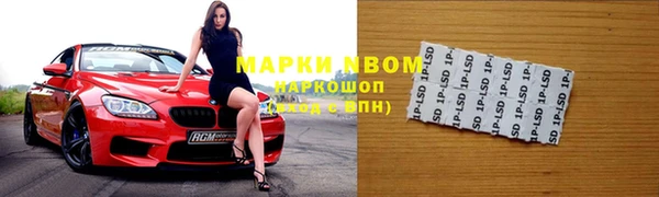 стаф Каменск-Шахтинский