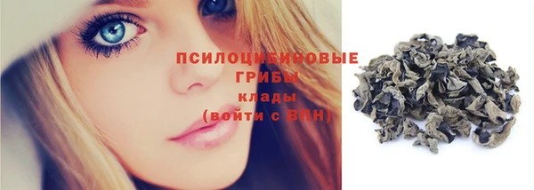 стафф Каменка