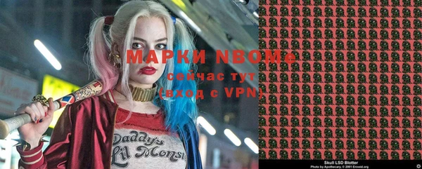 стаф Каменск-Шахтинский