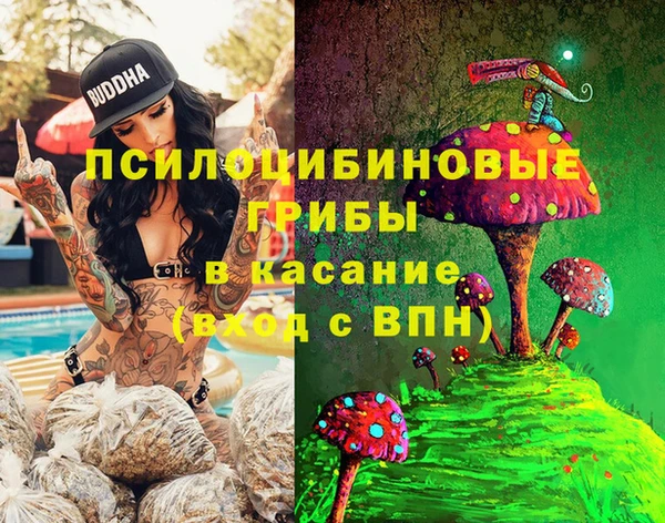 стаф Каменск-Шахтинский