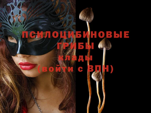 mdma Каменногорск