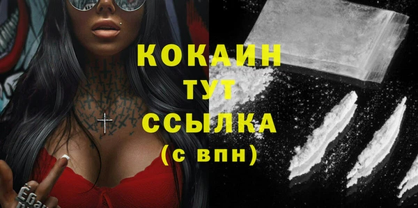 стафф Каменка