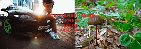 mdma Каменногорск