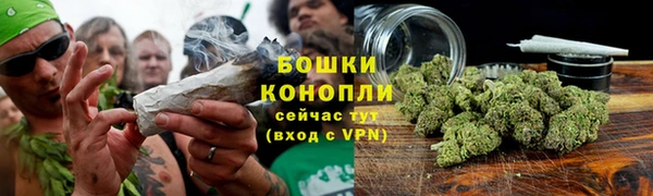 стаф Каменск-Шахтинский