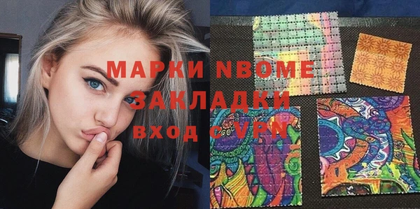 стафф Каменка