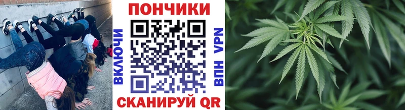 купить  сайты  Северск  Каннабис конопля 
